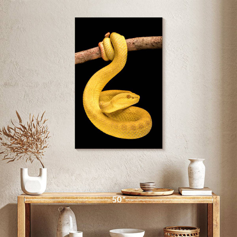 Brampt Venomous Pit Viper, 36" H x 24" W