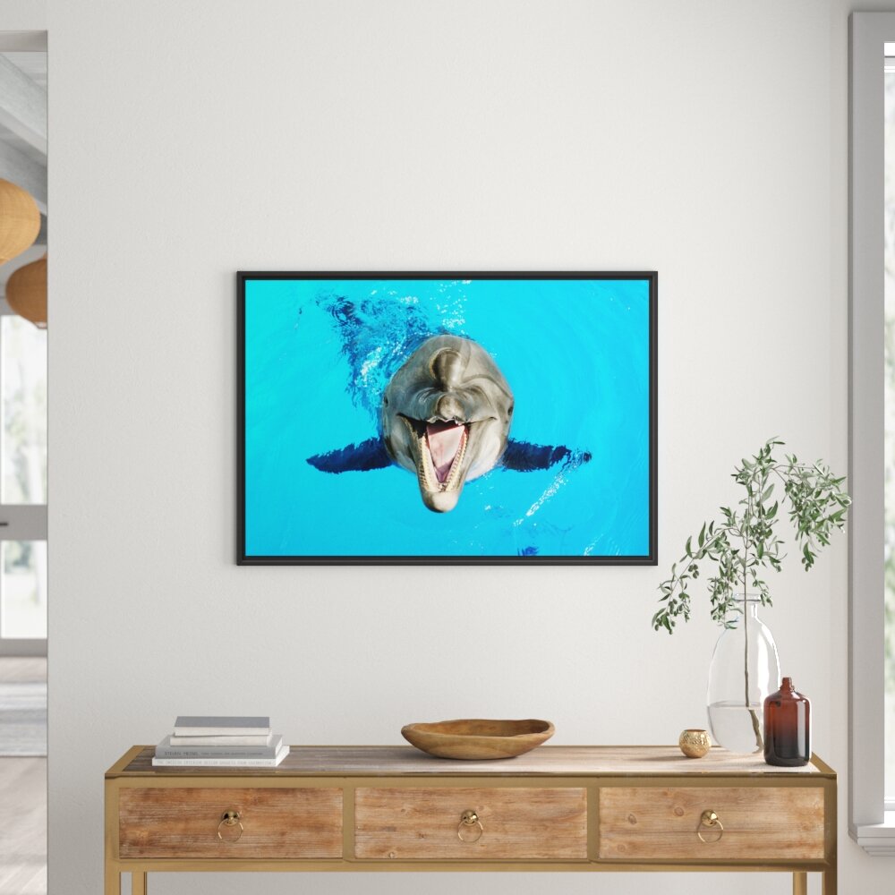 Gerahmtes Wandbild Delfin lacht