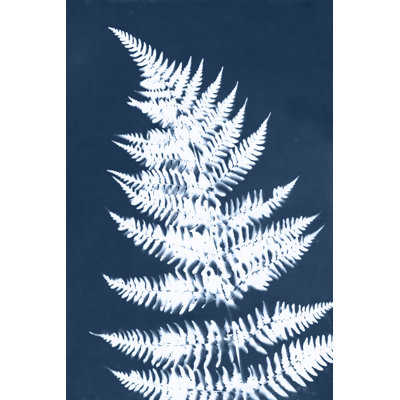 Cyanotype Fern Leaf II by Jason Johnson - Wrapped Canvas Print