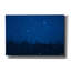  «Blue Night Winter Forest 2» par Life BeautifuLEE, art mural sur toile, 26 po x 18 po-689951034