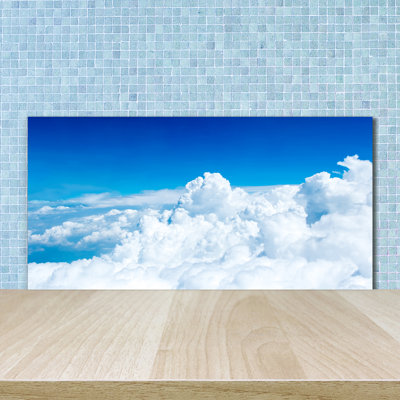 Lutece 50cm W x 100cm L Glass Peel and Stick Panel