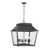 Fer noir antique est en rupture de stock