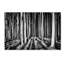 «Ghost Forest», reproduction d'impression sur toile tendue-23536303-89159985