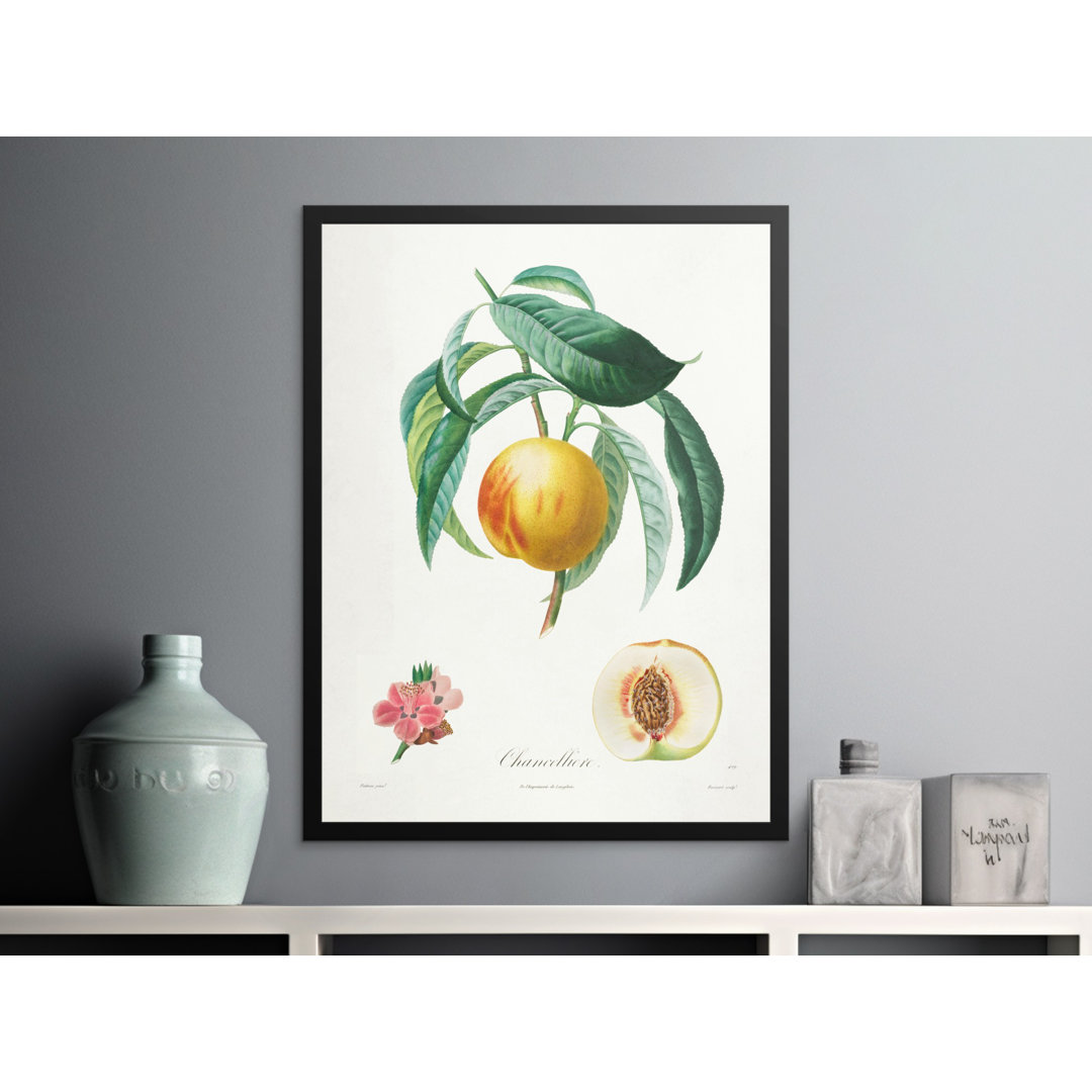 Kitchen & Bar Matte Poster