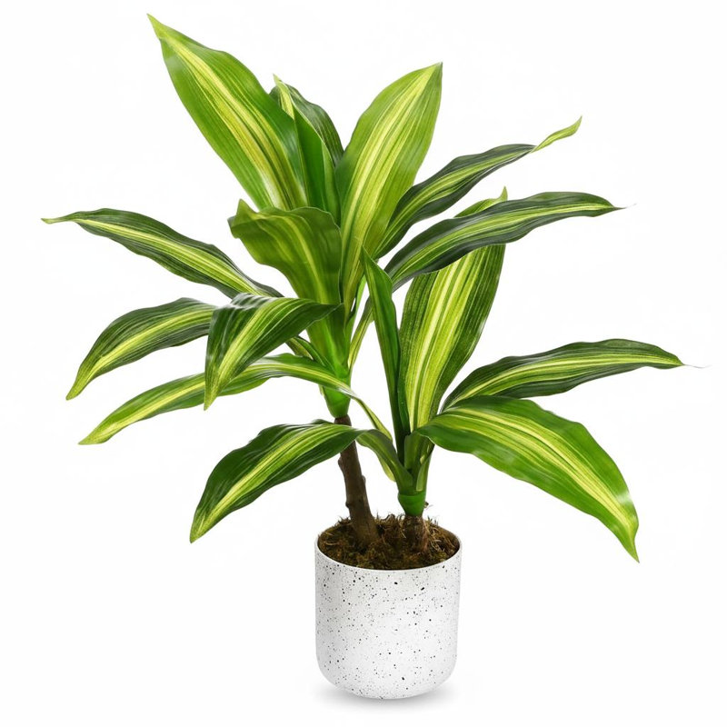 Faux arbre parasol Schefflera avec pot de fleurs, 15,75 po x 3,6 po