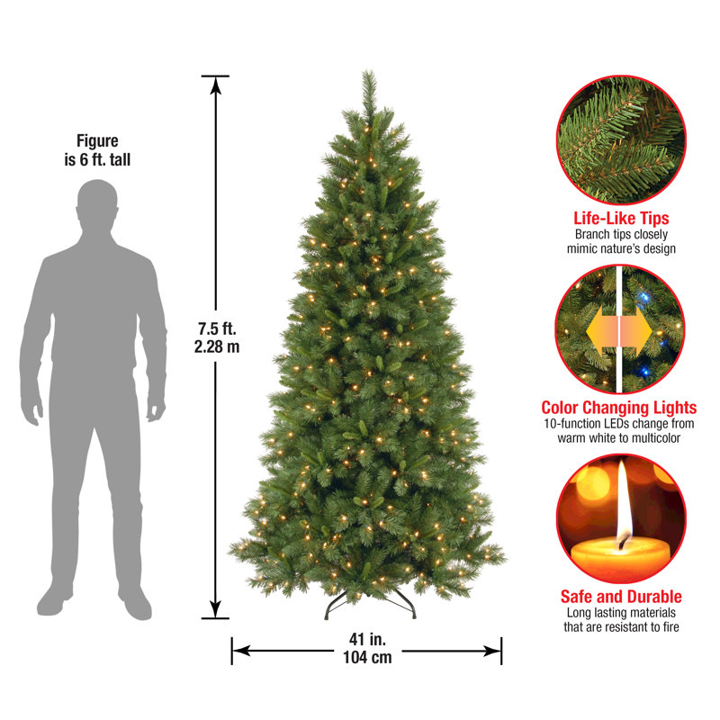 7.5ft. Lehigh Valley Slim Pine Tree with Dual Color LED Lights