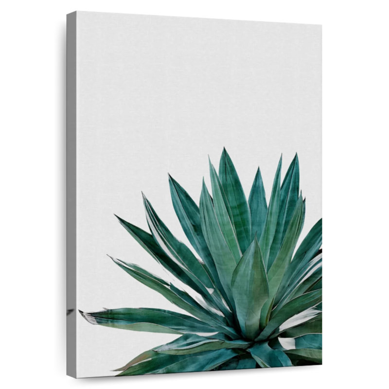 Harnek Agave Cactus, 51" H x 34" W