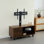 Console de télévision avec armoire de rangement à bouton-poussoir