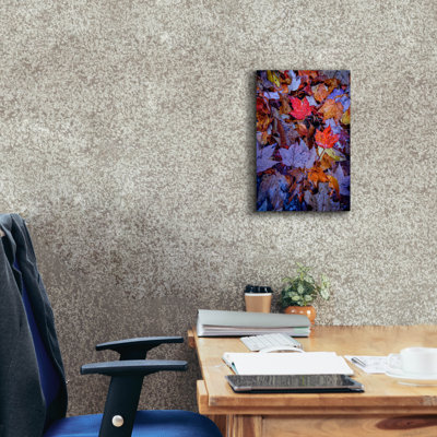 Toile épaisse «Wet Leaves» par Rick Berk, épopée, 26 po x 40 po
