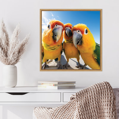 «Funny Animal Parrot Selfie» par The Creative Bunch Studio, reproduction d'art sur toile encadrée