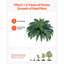 Faux Fern Plant-6104194