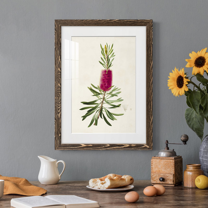 «Pretty Botanicals VII», impression encadrée, Encadré de bois de noyer, H 32 po x l 23 po x P 1 po