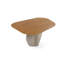 Petra 59.5" Organic Dining Table