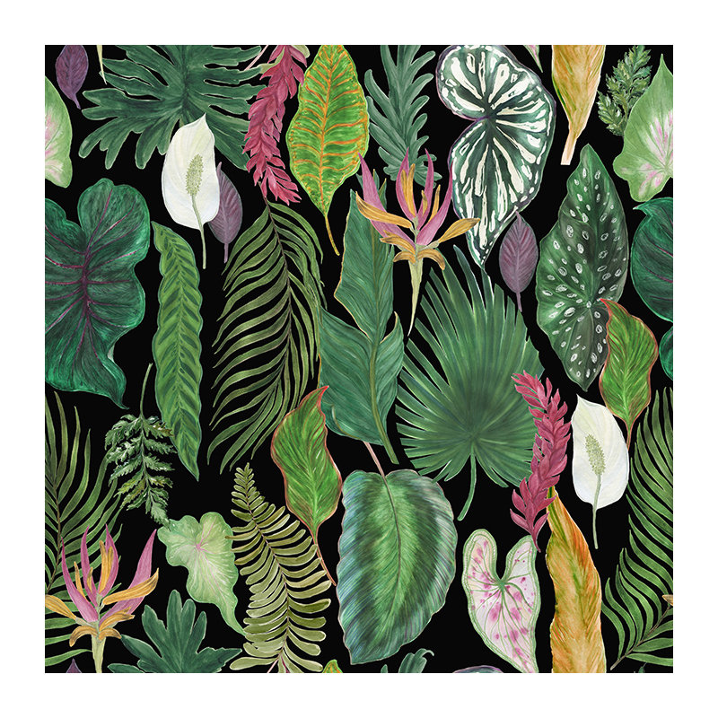 Selevae Matte Mural, 250 x 250cm