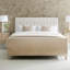 Upholstered Bed-159565253