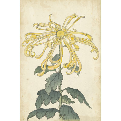Elegant Chrysanthemums II - Wrapped Canvas Painting