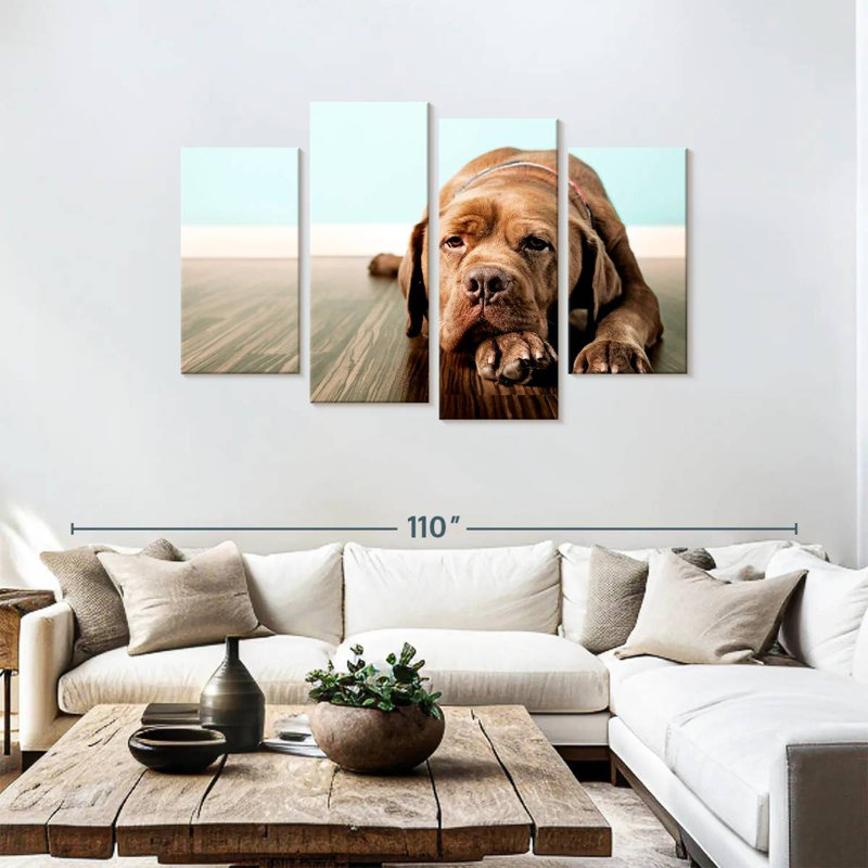 Brampt Bored French Mastiff Dog, 48" H x 75" W