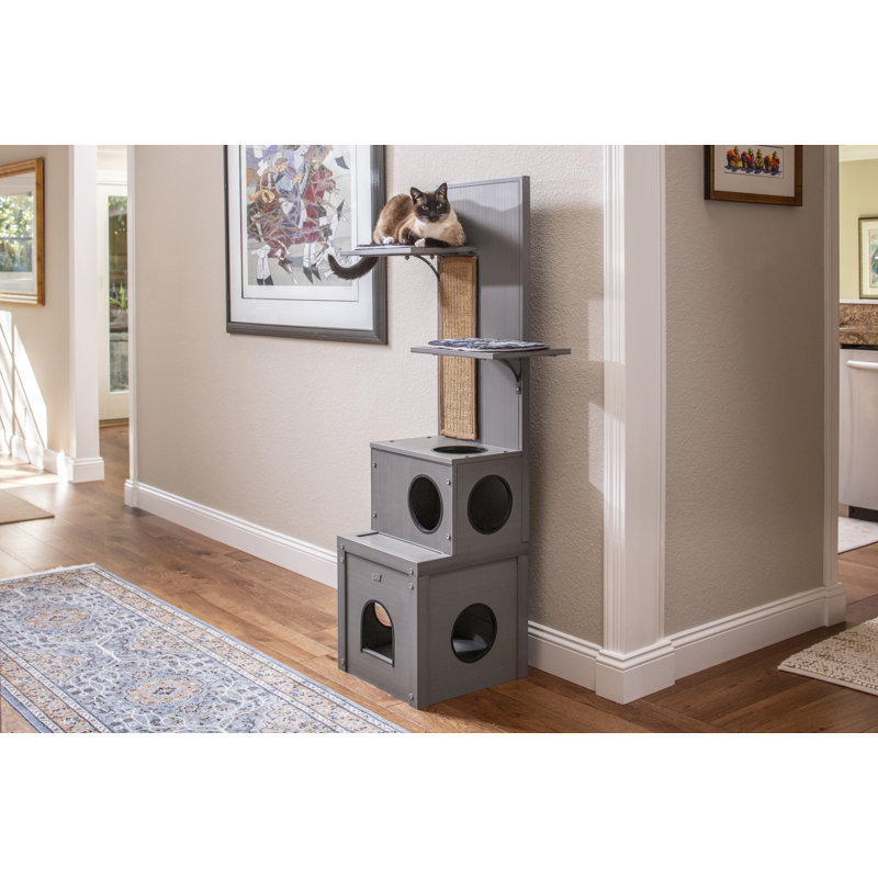 Arbre à chat 60 po avec grattoirs Draco, Gris