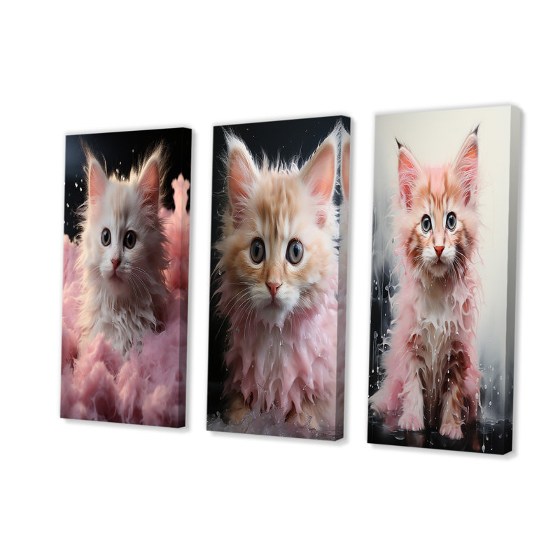 Bain pour chaton, Toile tendue, H 28 po x l 36 po