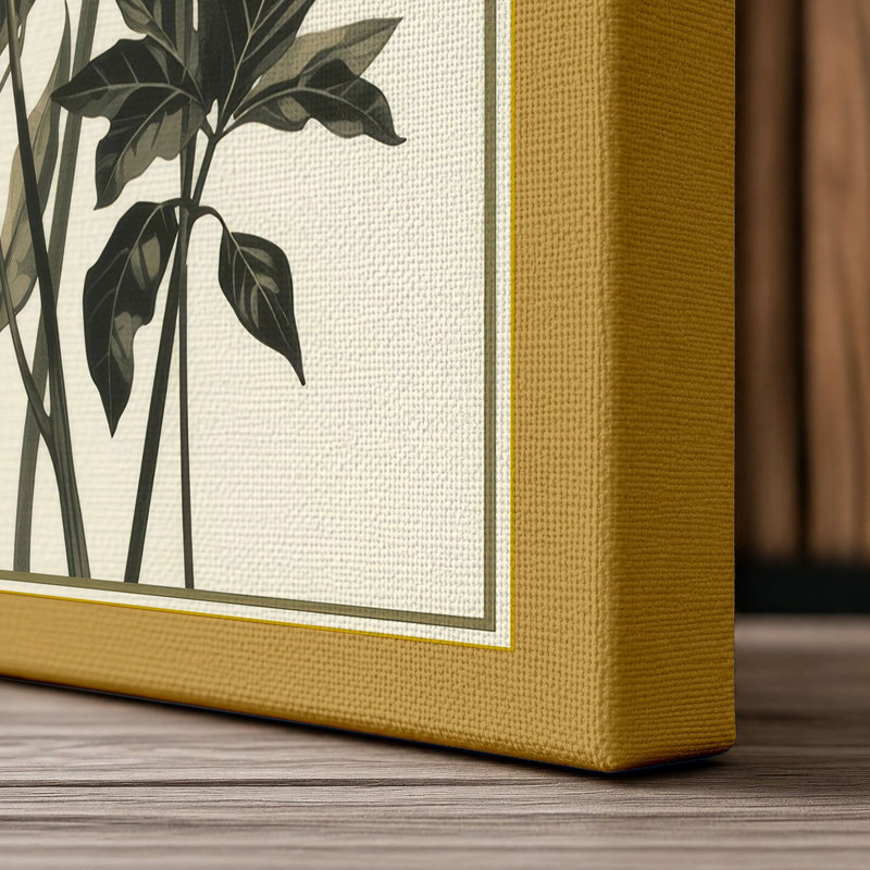 Carnation Study Botanical - Wrapped Canvas, 36x24 - 91.4 x 61.0 cm, Ochre Border