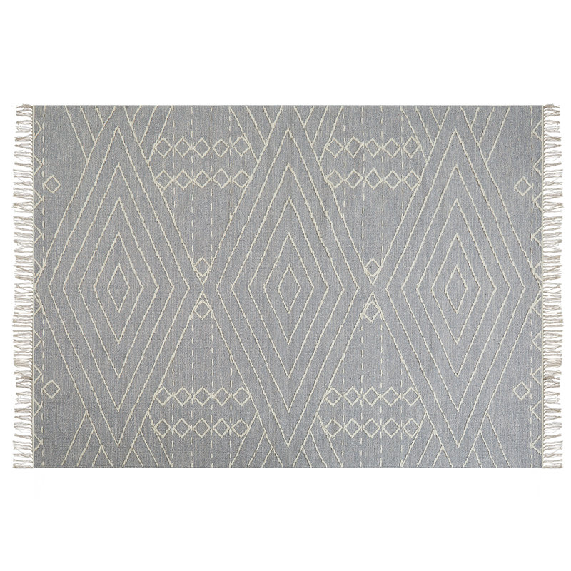 Goreville Geometric Cotton Hand Woven Area Rug, Rectangle 160 x 230cm