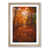 Oak Framed