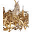 Aviary 6 - Light Chandelier