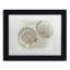 «Two King Scallop Shells», reproduction de photo sur toile encadrée-32709784-32709787