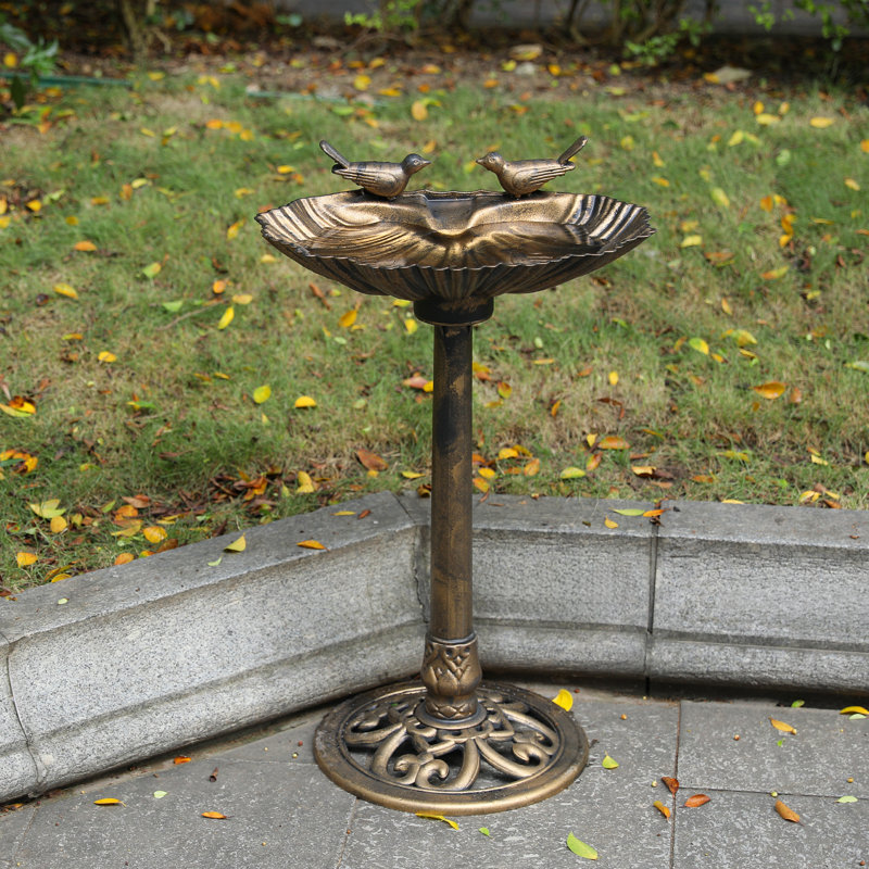 Bain d'oiseaux à piédestal pour l'extérieur Conola, Bronze