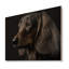 Portrait d'un teckel glam noir - décoration murale animaux chien teckel-88040067-88040068