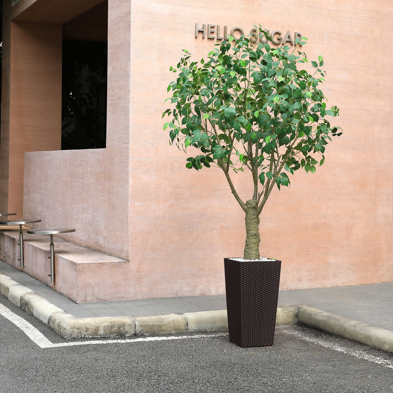 Adcock Ficus Tree in Decorative Vase, Brown, 84" H x 28" W x 28" D