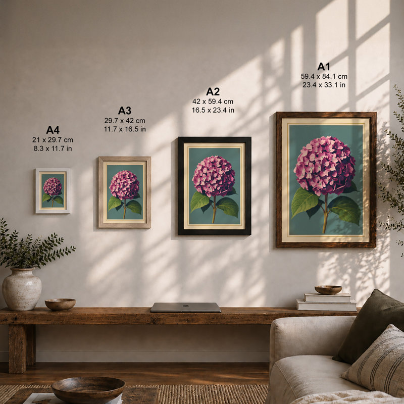 Hydrangea Study Botanical - Print, Unframed, A4 - 29.7 x 21.0 cm