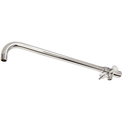 Wall-Mount Rainhead Arm with 2-Way Diverter