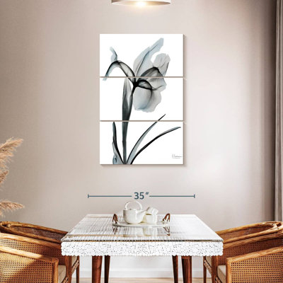 Sel de mer Harnek Ombre Iris I