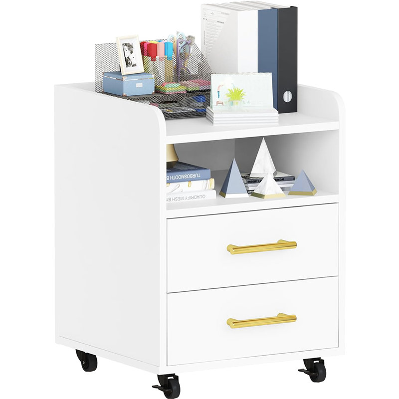 Gaisa 15.6 Wide 2 -Drawer File Cabinet