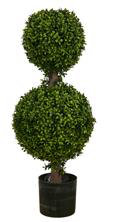 Plante de 34 po