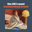 Silentnight Heat Genie Self-Heating Giant Blanket - 180 x 240 cm-116575575