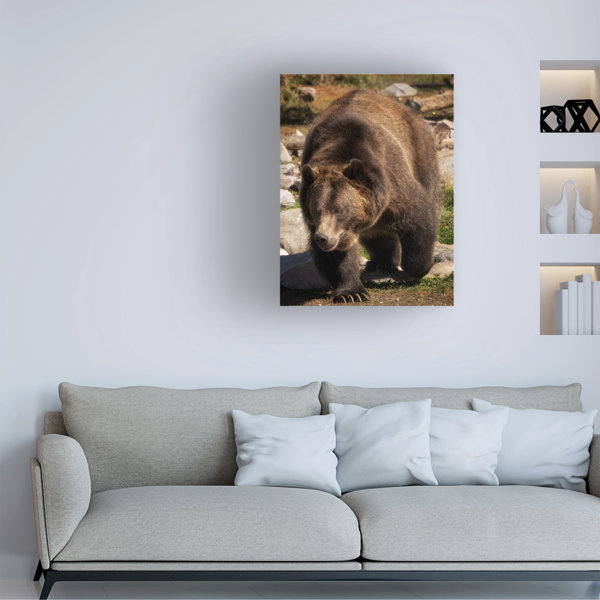 Winston Porter Animals Close Up Of Grizzly Bear On Canvas Print | Wayfair