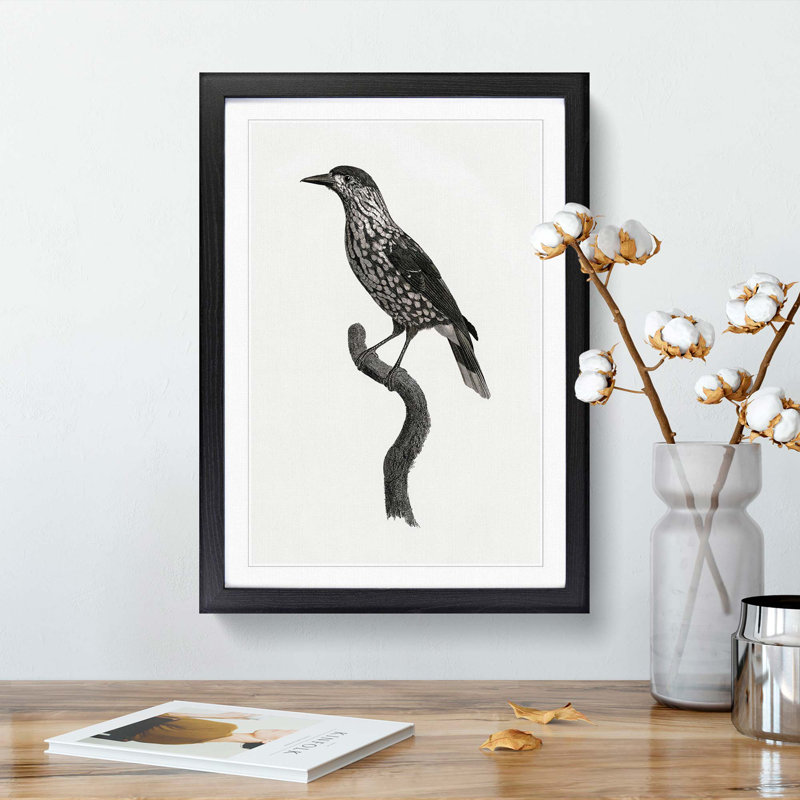 Nutcracker Bird by Jacques Barraband - Picture Frame Painting Print, 36cm H x 27cm W x 2cm D, Black Framed