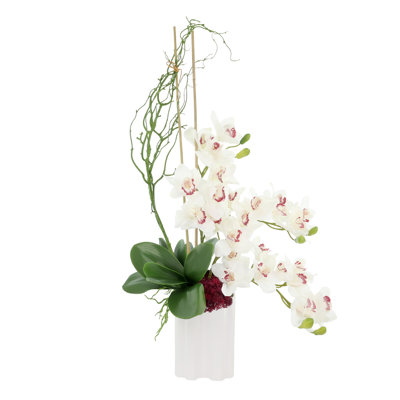 Orchid Arrangement with Sedum in Ceramic Vase