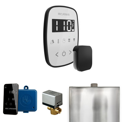 Ensemble de commande de douche à vapeur ButlerFlex avec contrôle TempoFlex et tête de vapeur