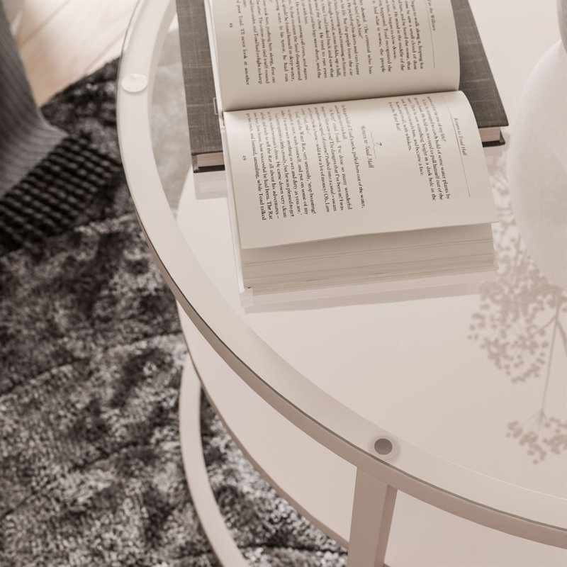 Frame Coffee Table with Storage, Clear