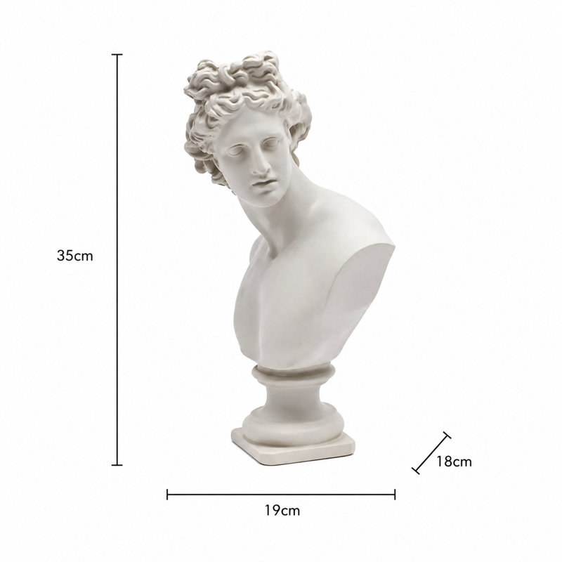 Grey Neo-Classical Bust Sculpture – Matte Resin Decorative Ornament (35 cm) 