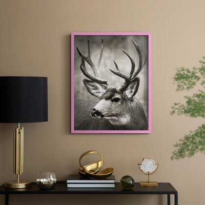 Focused Buck Framed Print - Solid Wood