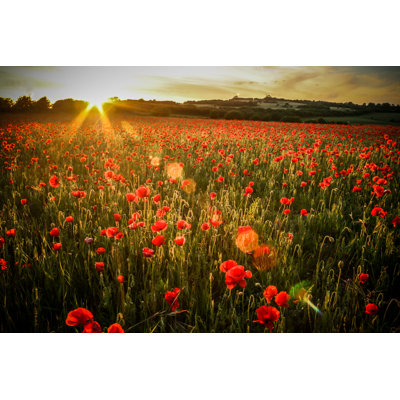 Poppy Field - Wrapped Canvas Print