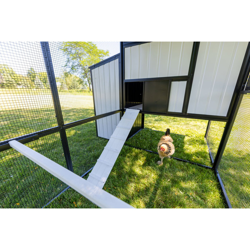 Grand poulailler Modern Ultraguard