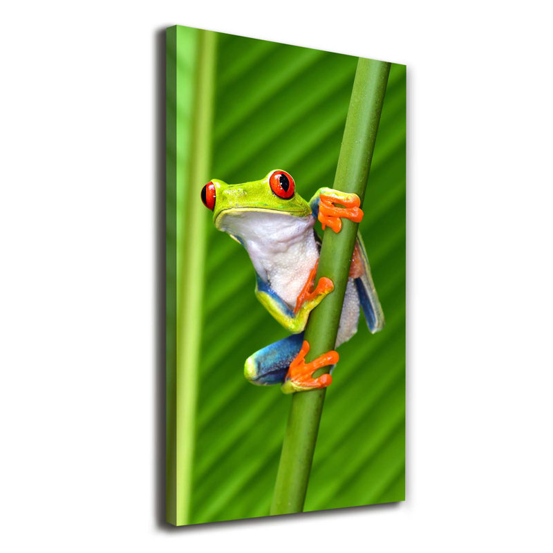 Hapeville Tree Frog - Wrapped Canvas Print