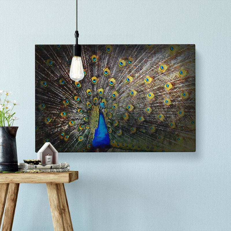 Peacock With Outstretched Feathers - Wrapped Canvas, 35cm H x 50cm W x 3cm D