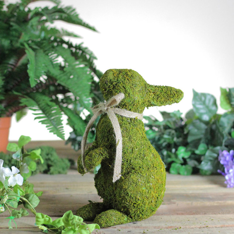 Lapin vert 10,5