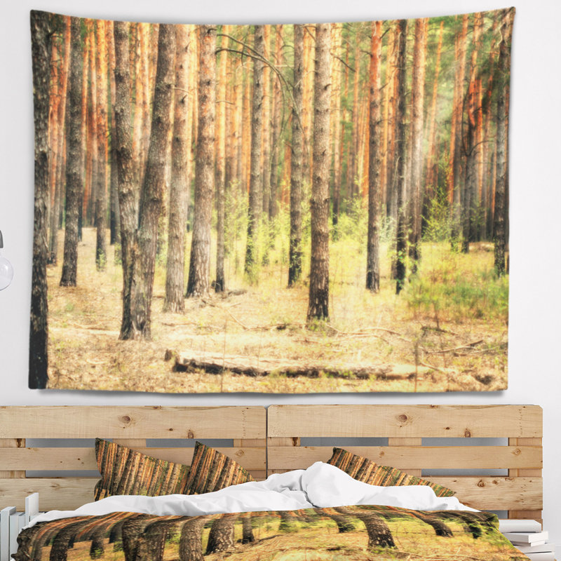 Tapisserie moderne magnifique forêt de pins au coucher du soleil, H 32 po x l 39 po